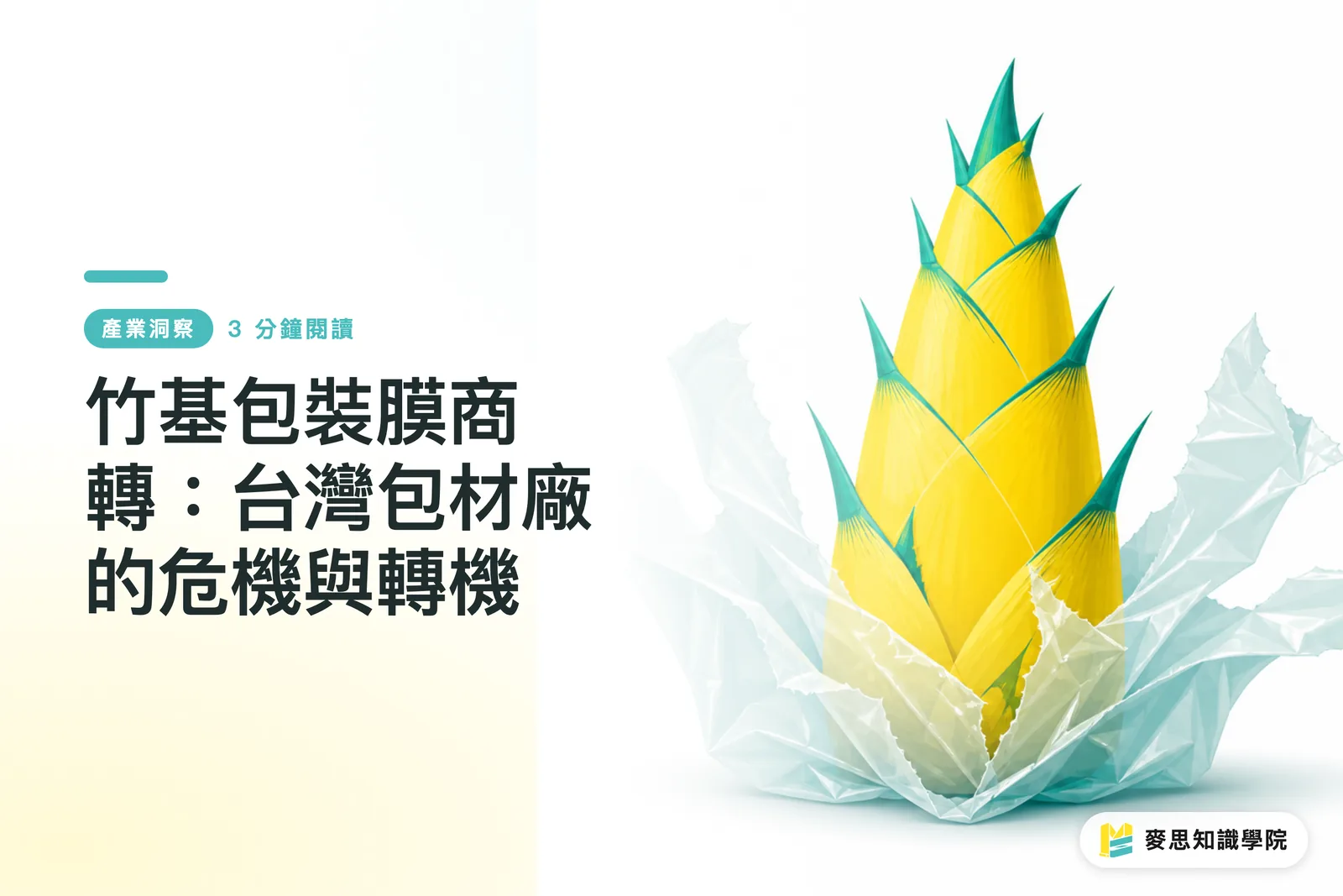 竹基包裝膜商轉:台灣包材廠的危機與轉機