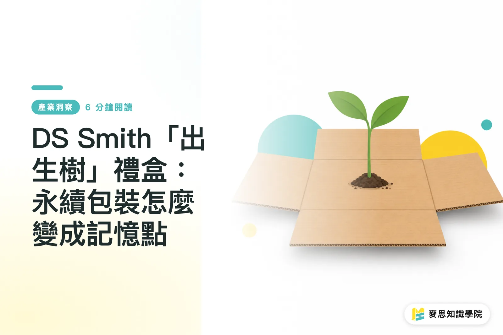 DS Smith「出生樹」禮盒:永續包裝怎麼變成記憶點