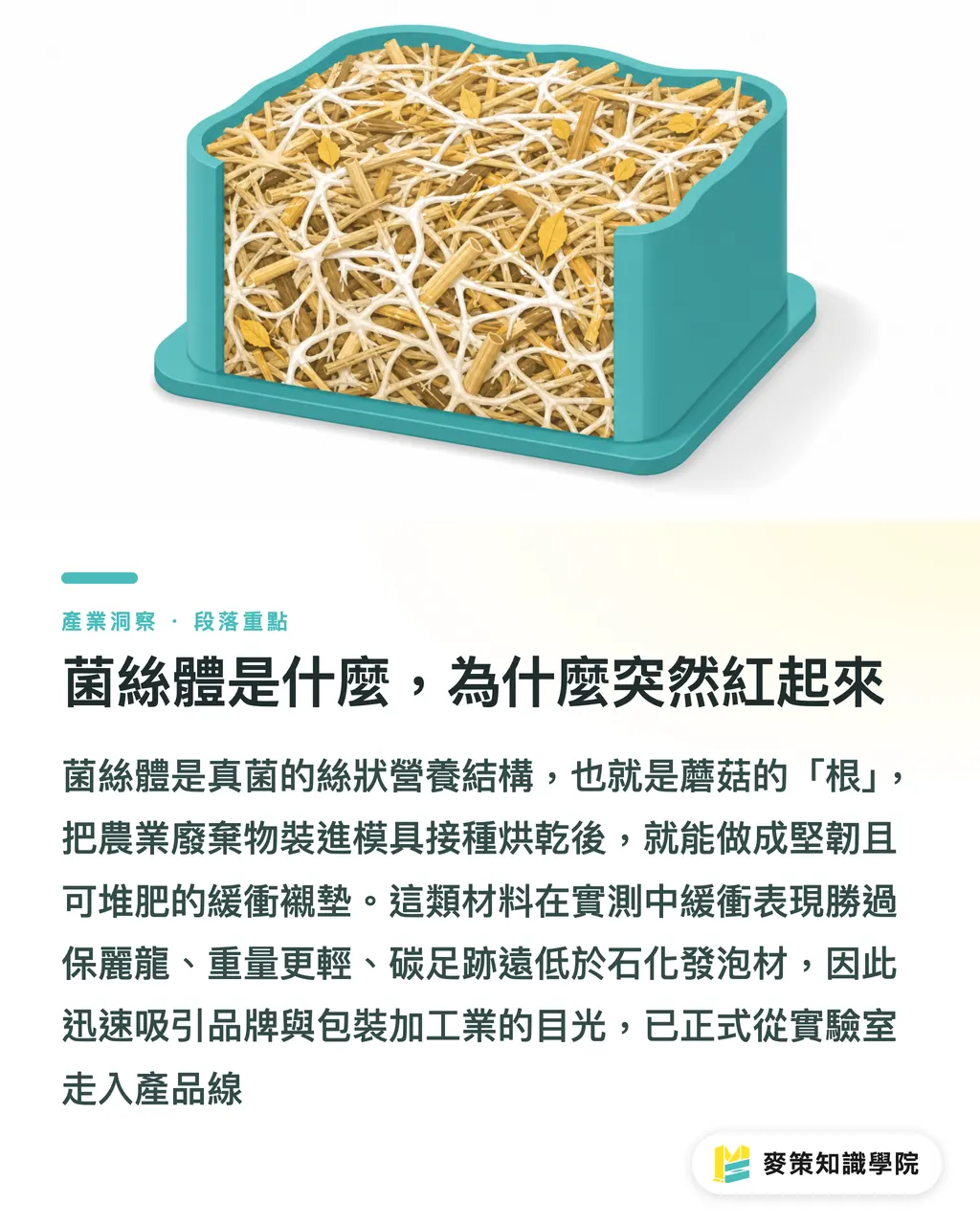 菌糸体とは何か、なぜ急に注目されているのか｜菌糸体が発泡スチロールに勝つ：印刷会社は新しい緩衝材を先取りすべきか セクションの要点
