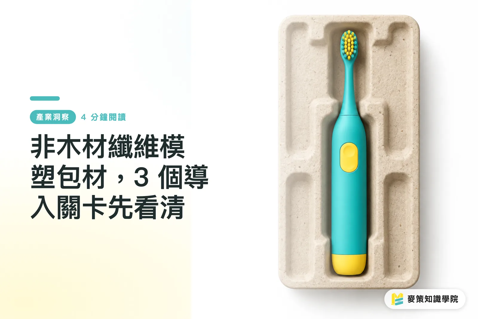 非木材纖維模塑包材，3 個導入關卡先看清