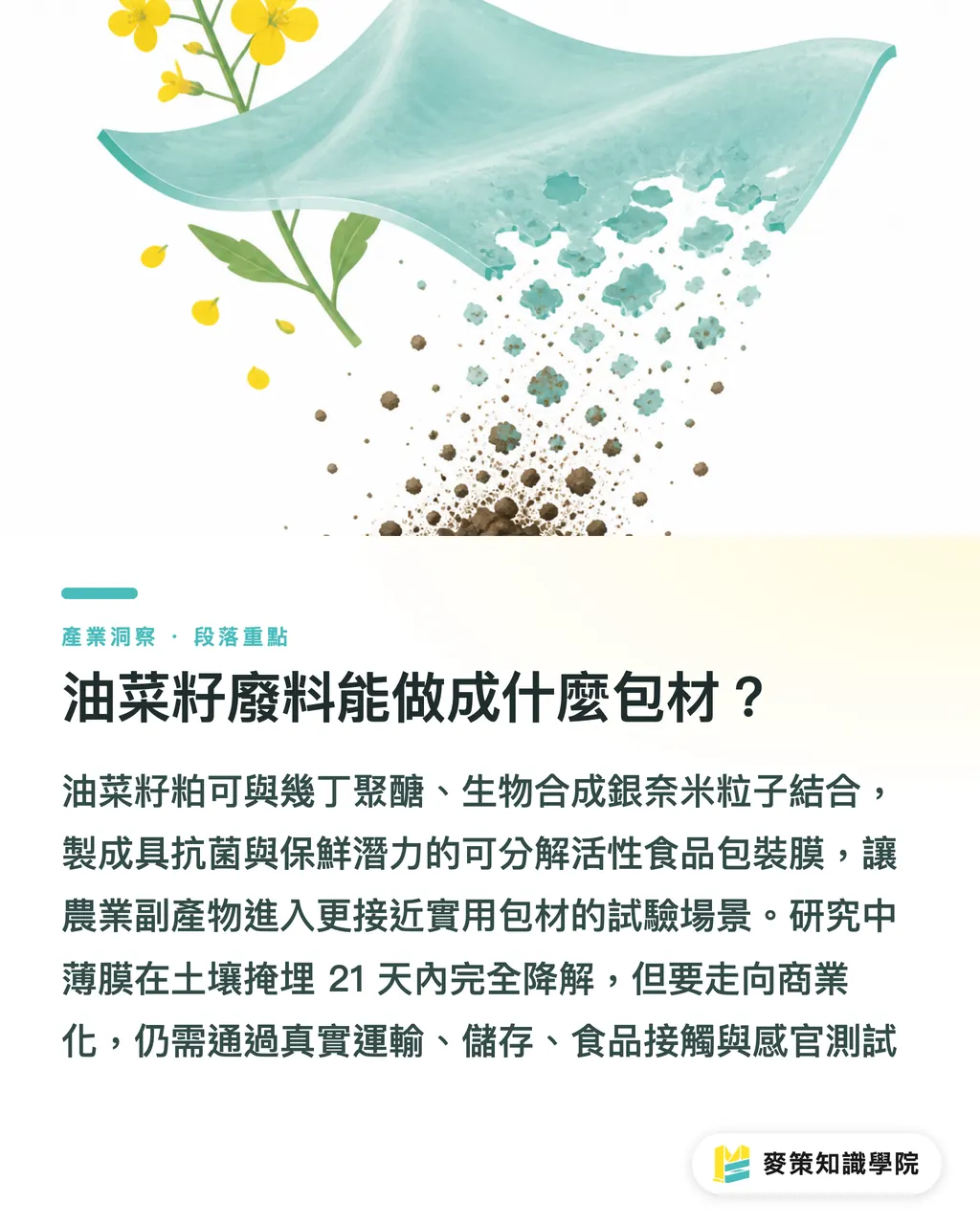 菜種廃棄物からどんな包材が作れるのか？｜バイオベース包材、商業化の3つのルート セクションの要点