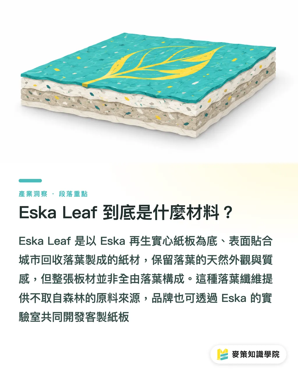Eska Leaf 到底是什麼材料？｜落葉紙板上市，品牌導入前要先問的 3 件事 段落重點