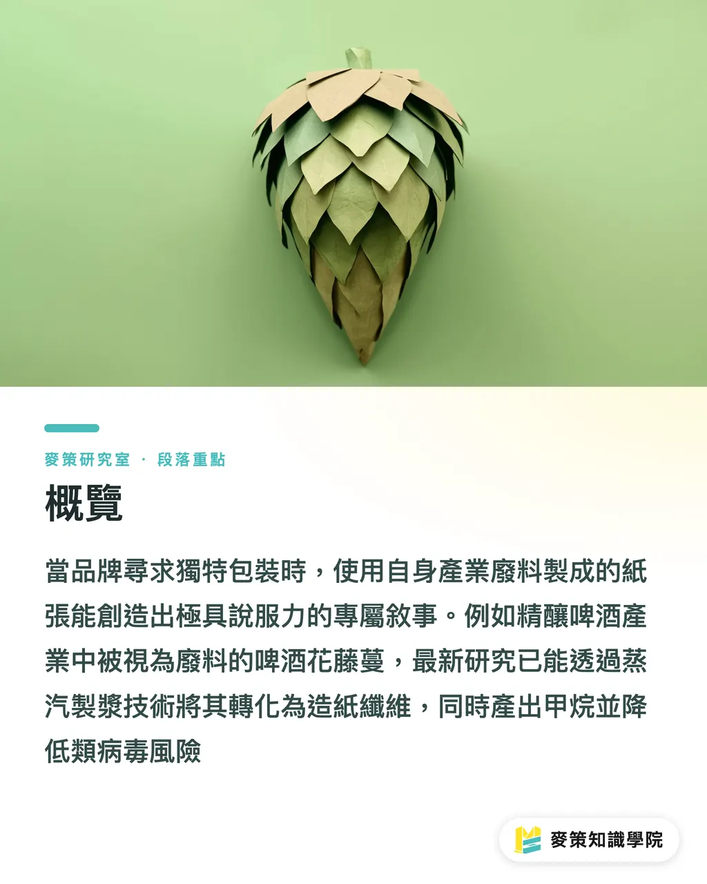 概覽|啤酒花藤蔓能造紙嗎?農廢包材的真實門檻 段落重點