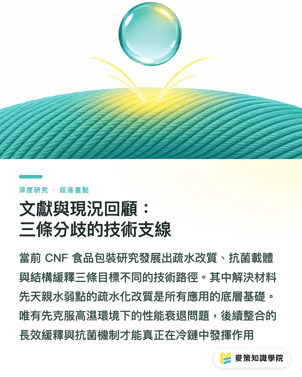 文獻與現況回顧:三條分歧的技術支線|奈米纖維薄膜與農產品主動式包裝:機制、證據與產業化限制綜述 段落重點