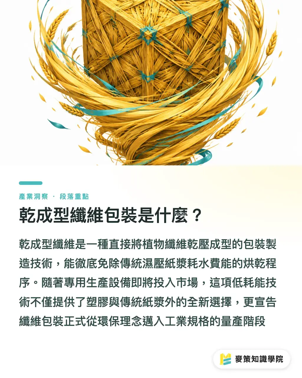 What Is Dry-Formed Fiber Packaging?｜Will Dry-Formed Fiber Replace Molded Pulp? Mass Production Signals from Yangi's Trade Show Debut section illustration